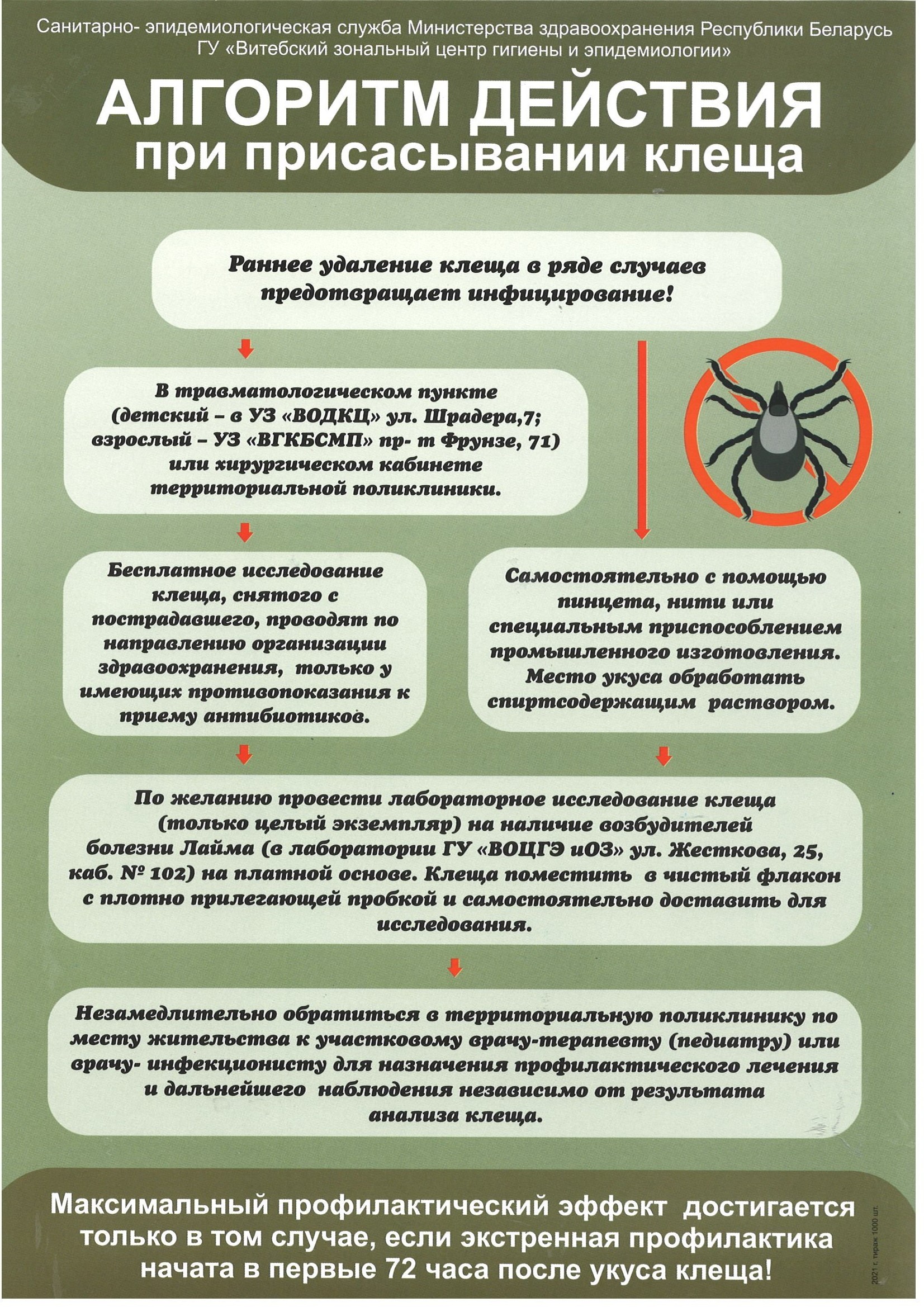 Витебская городская центральная поликлиника